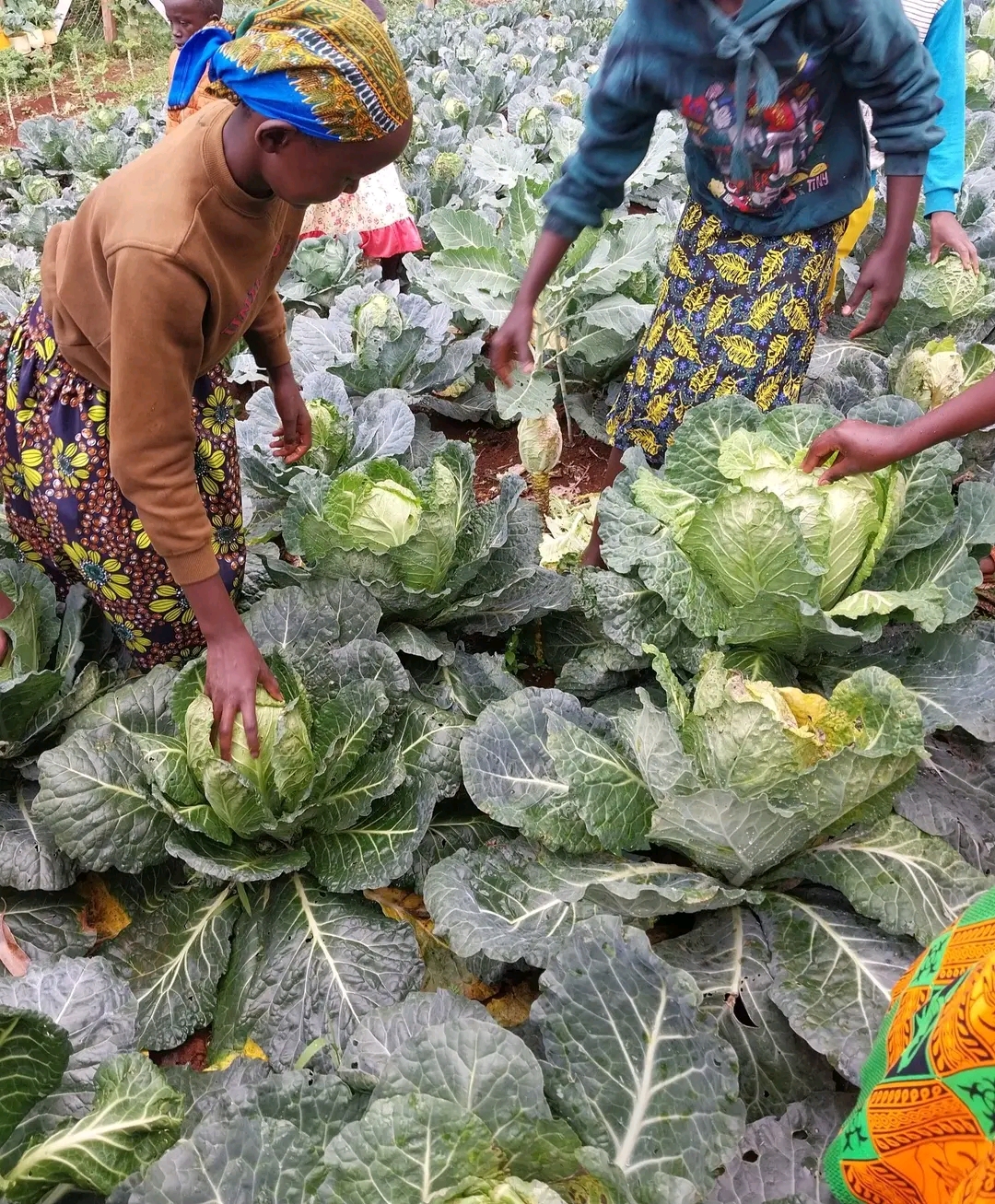 ART Resilience Centers — community learning hub, demonstration farm, farmers in training session