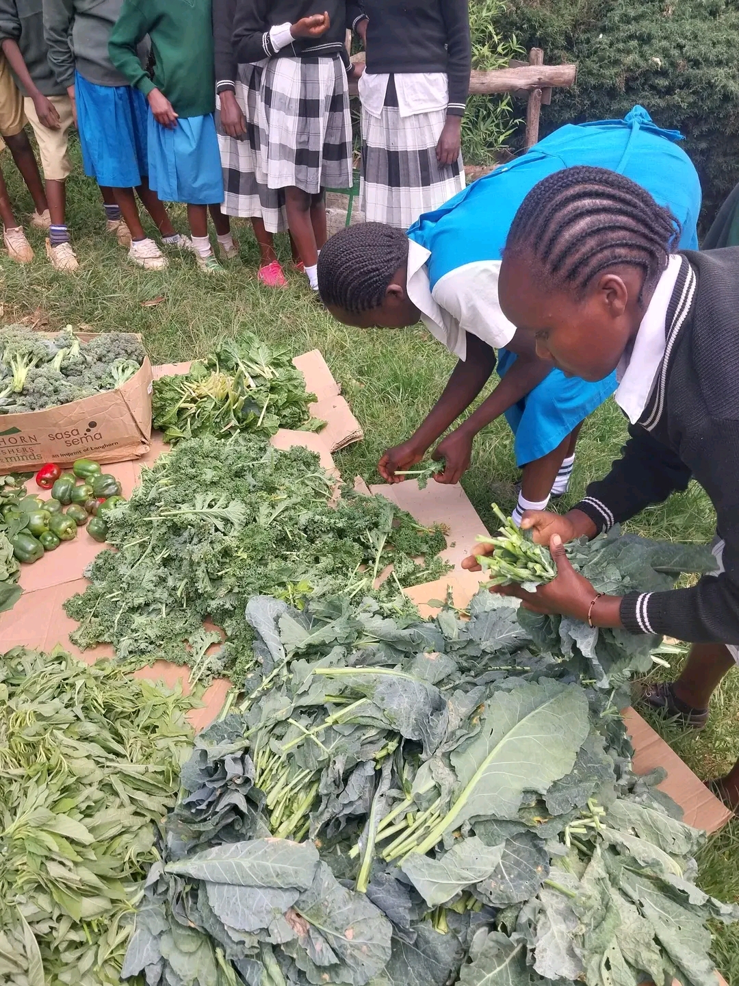 Placeholder — school partnership visit