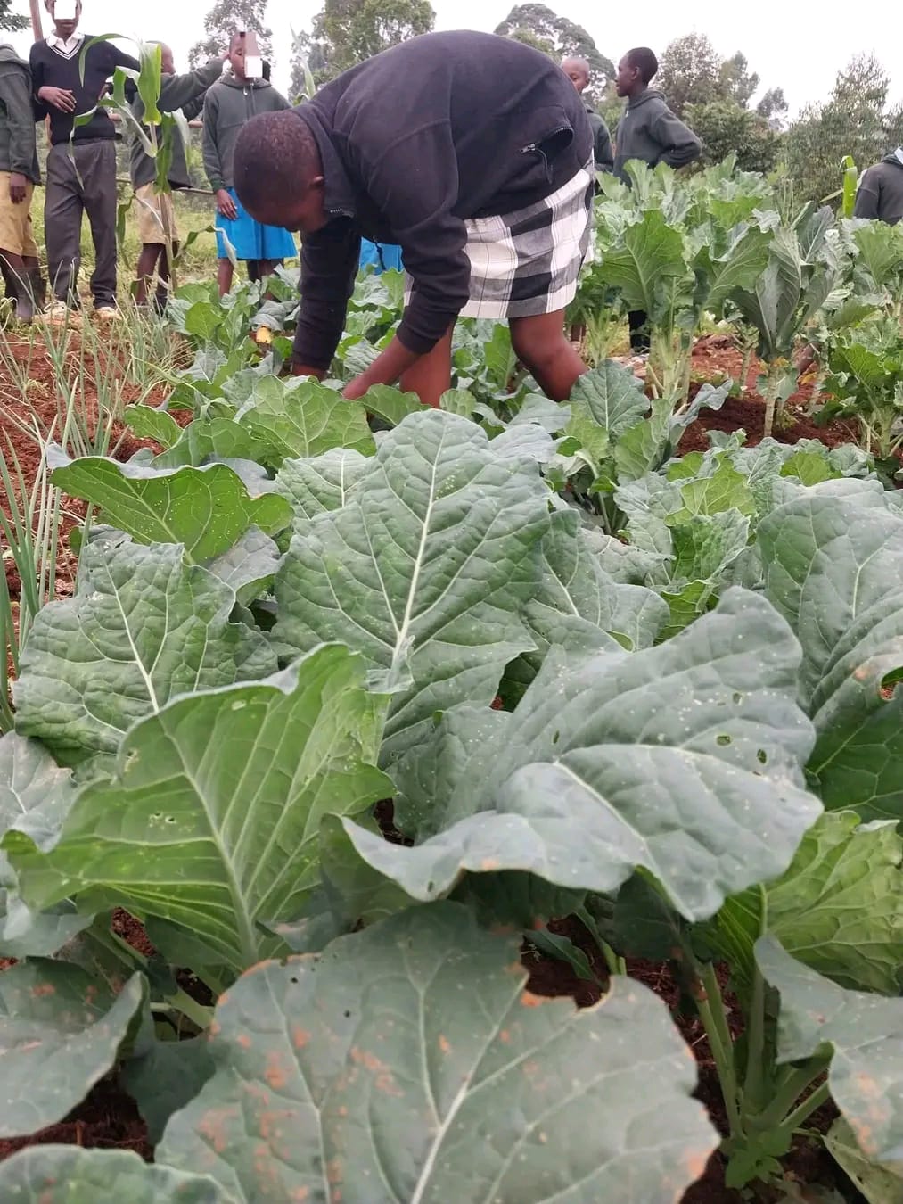 Placeholder — students on an ecological field visit