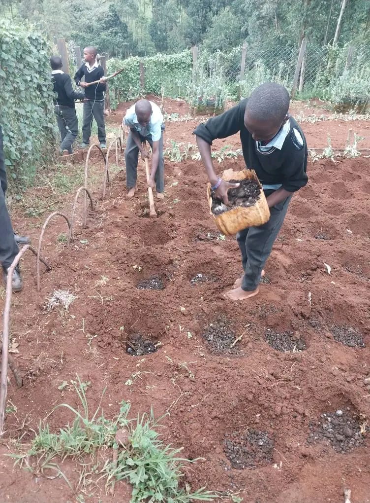 Placeholder — students tending a school garden