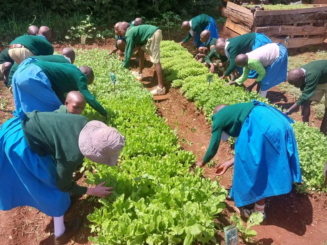 Field gallery — Machakos community activities, farmers engaged in agroecological practices