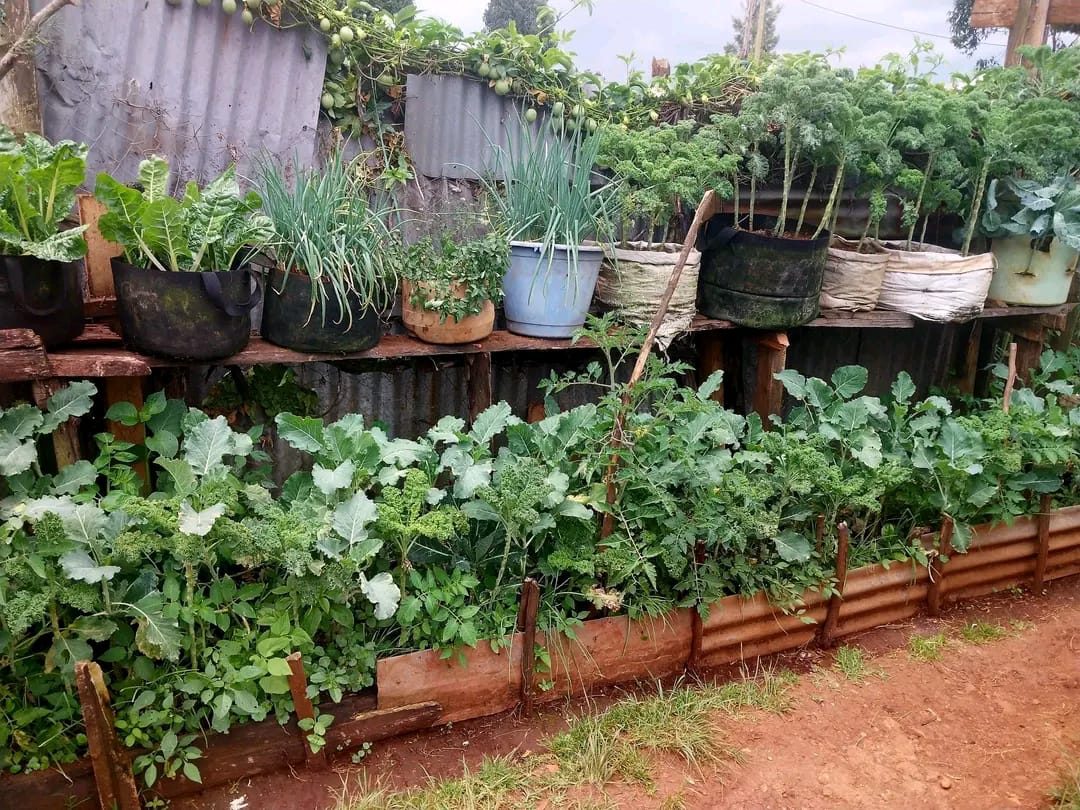 Women farmers working together on a hillside farm plot