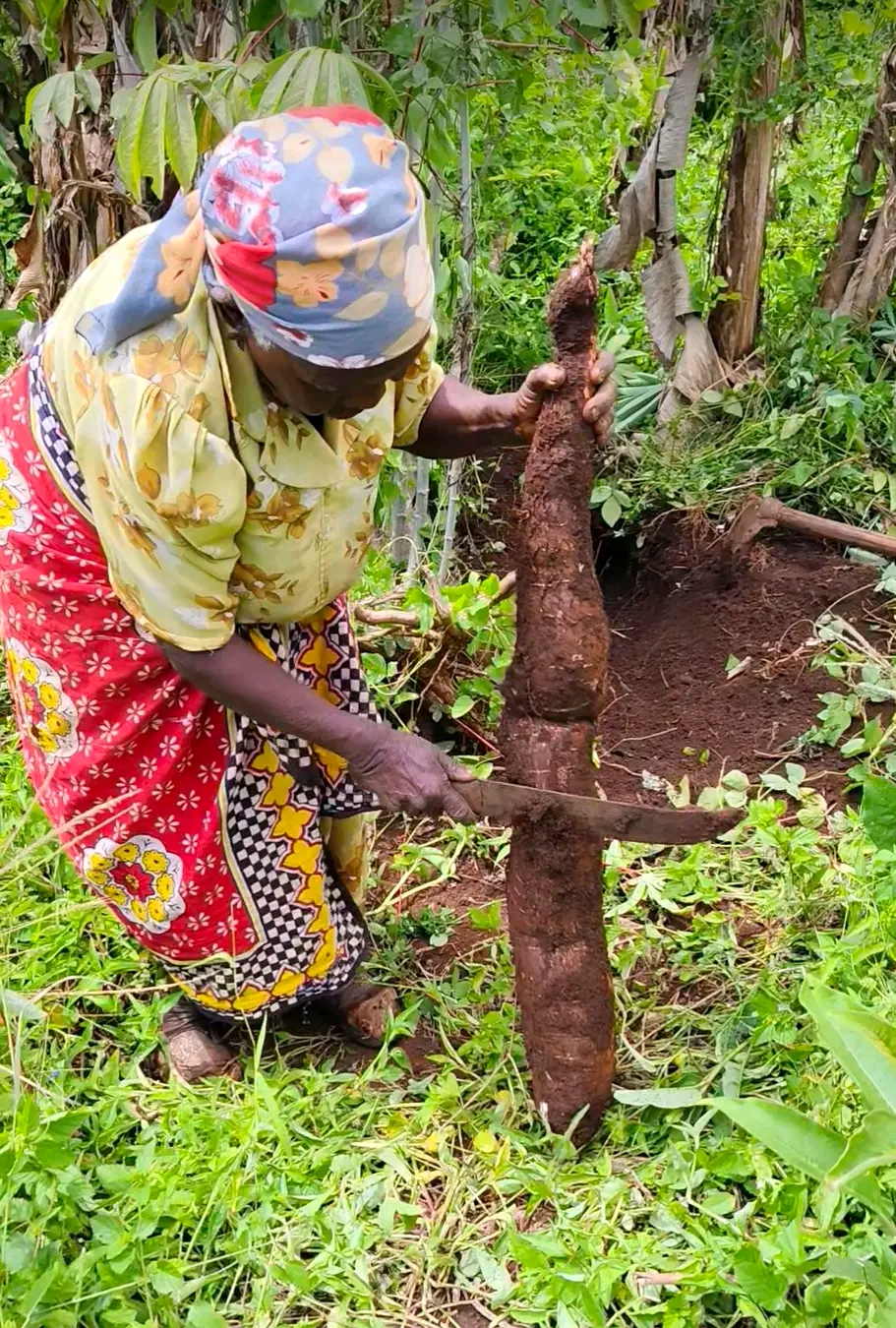 Her Land Her Power — women farmers in community dialogue, women leadership activities