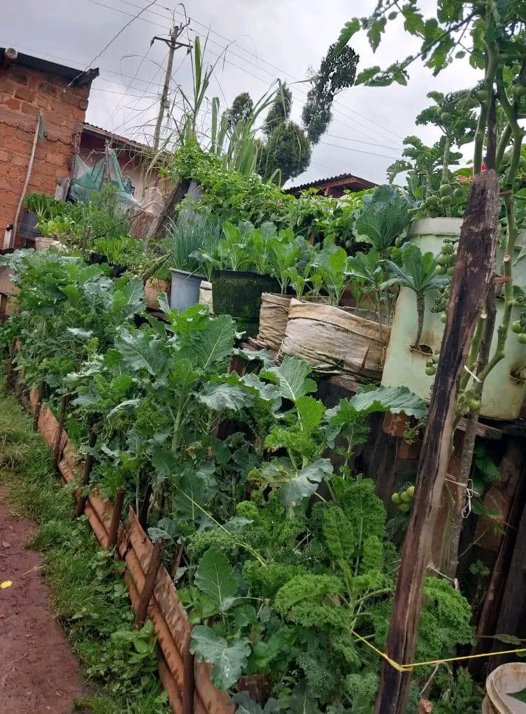 Placeholder — agroecology demonstration plot