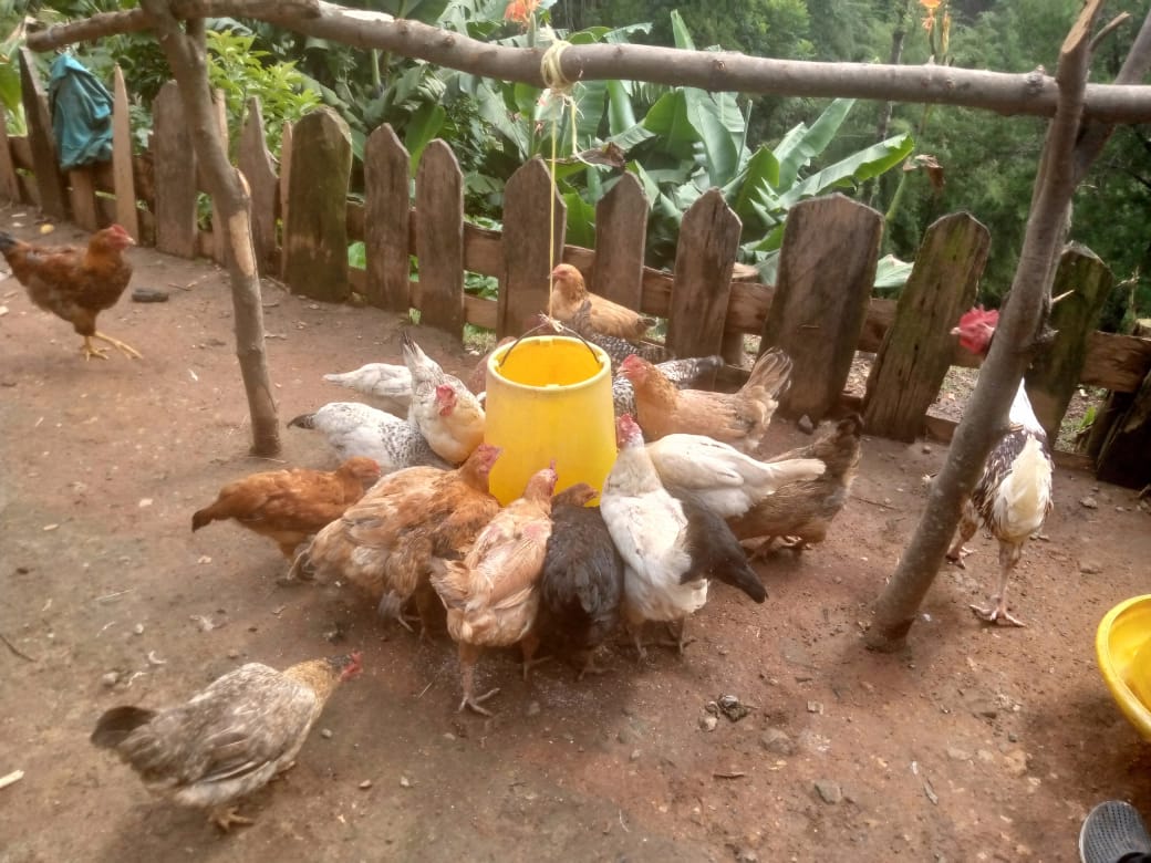 Placeholder — women's land rights dialogue in Machakos