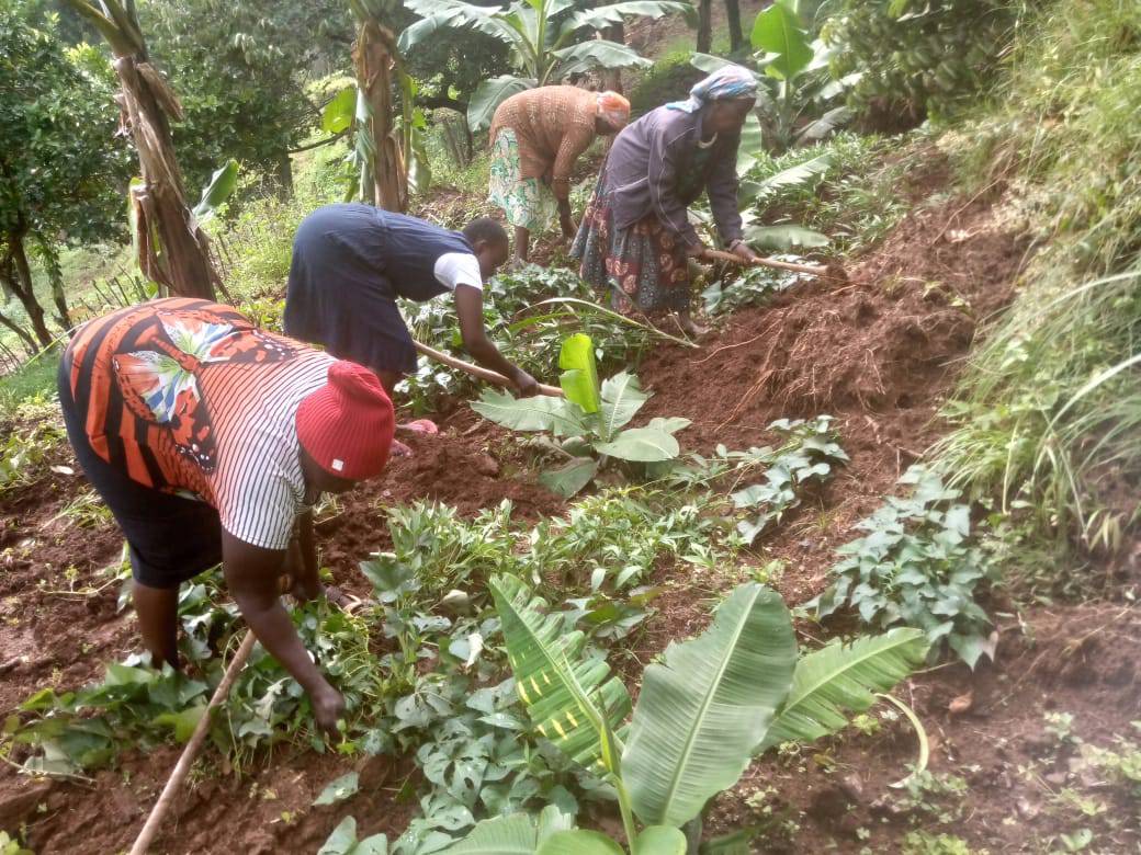 Authentic field photography — community members engaged in farming activities, women and youth participation in agroecological practices