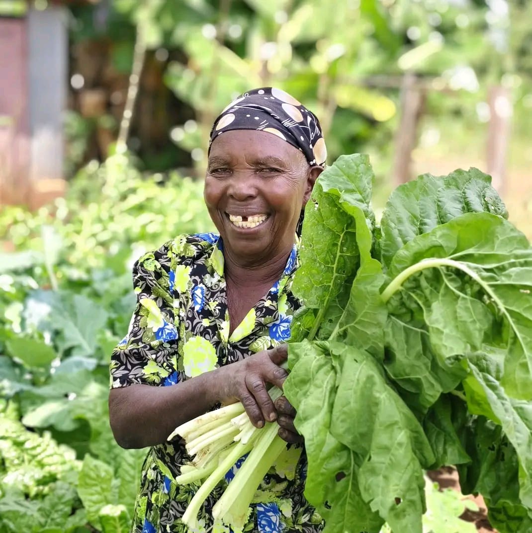 Community member harvesting fresh vegetables