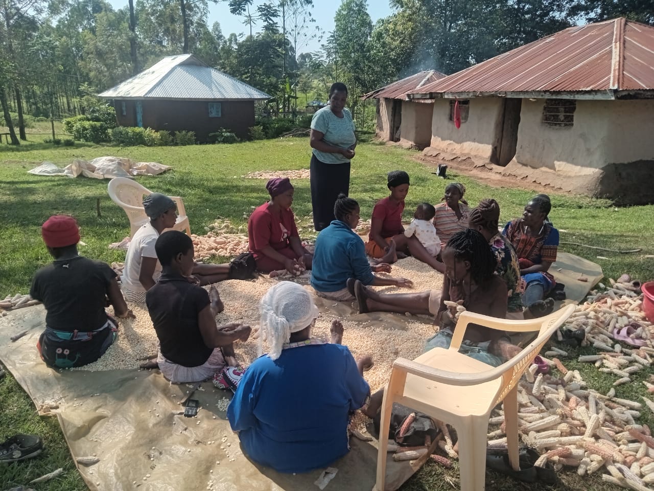 Voices from the Roots — storytelling sessions, community interviews, documentation activities